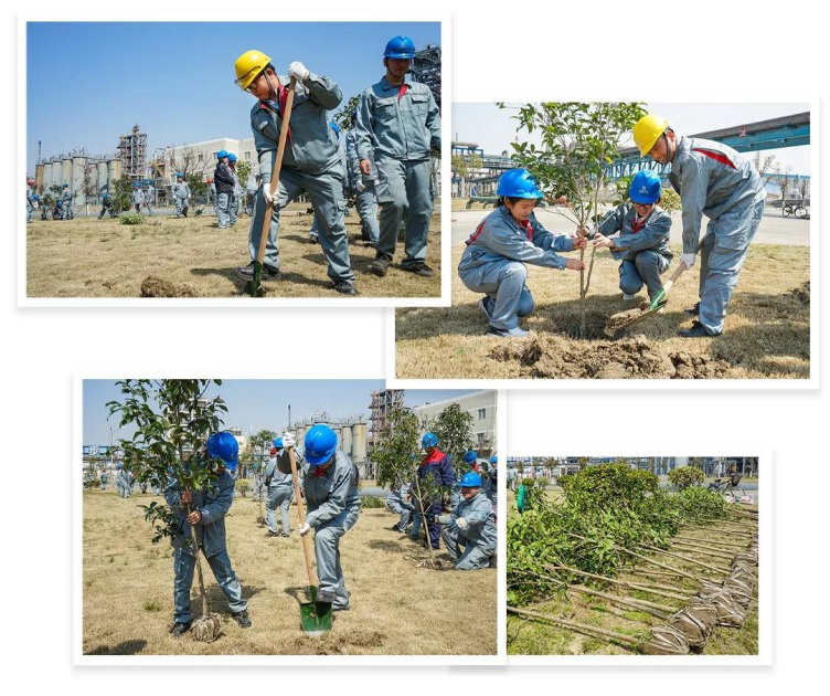 壹定发·(EDF)最新官方网站